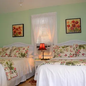 Speakeasy (adults Only) 3*, Key West USA